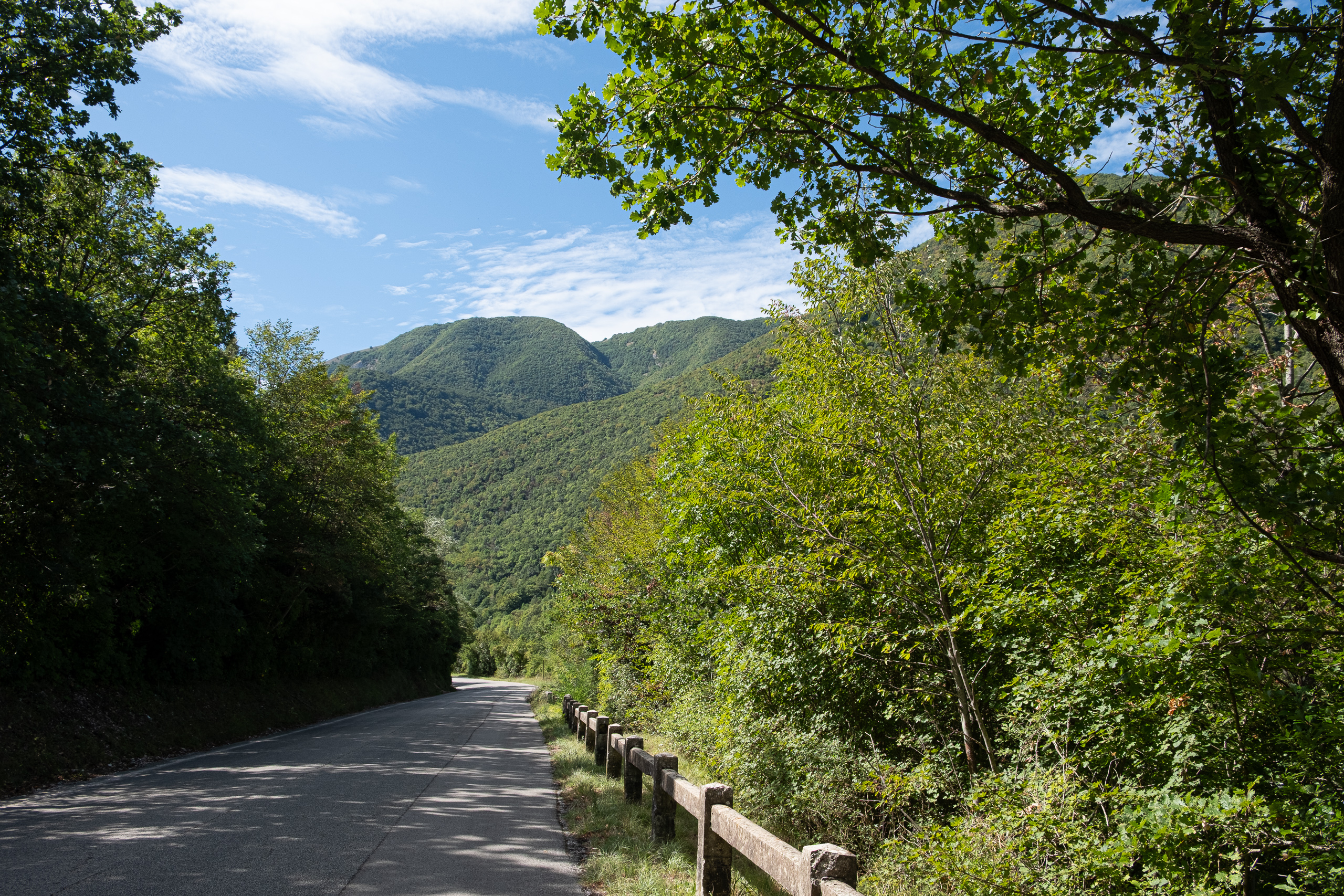 Schattige Nebenstraße ins bewaldete Tal hinein